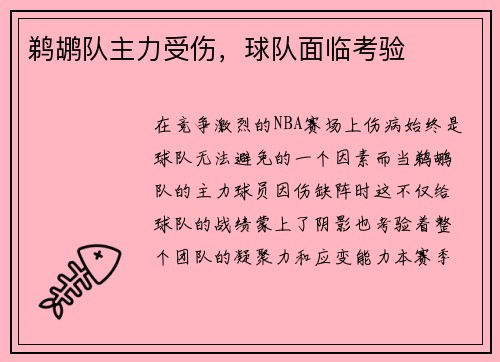 鹈鹕队主力受伤，球队面临考验